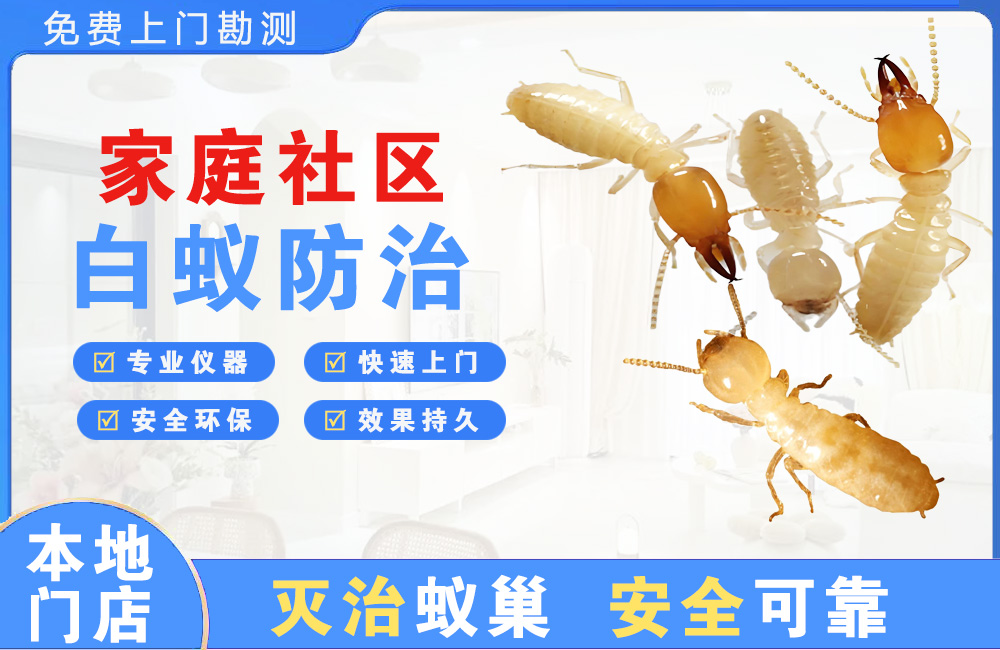 龙海家庭社区白蚁防治