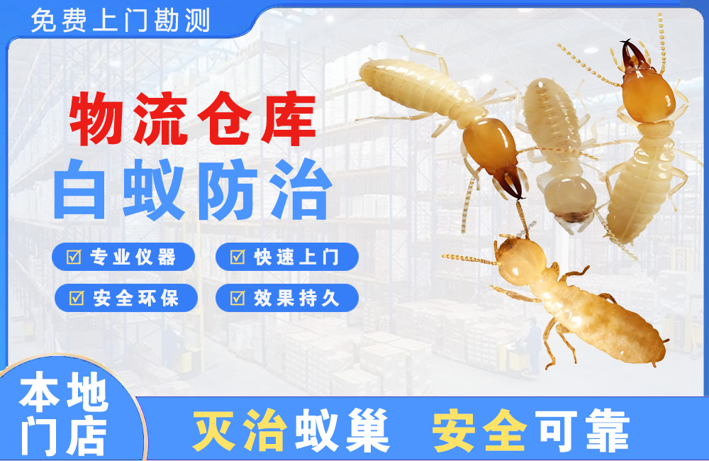 龙海物流仓库白蚁防治