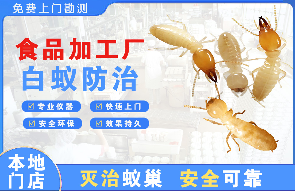 龙海食品加工厂白蚁防治