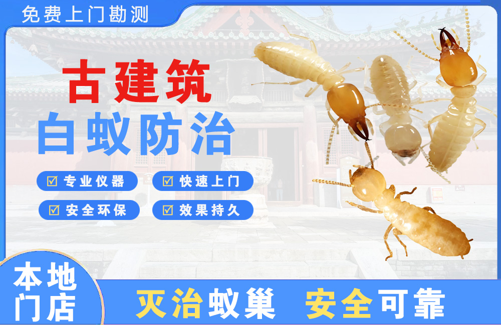 龙海古建筑白蚁防治