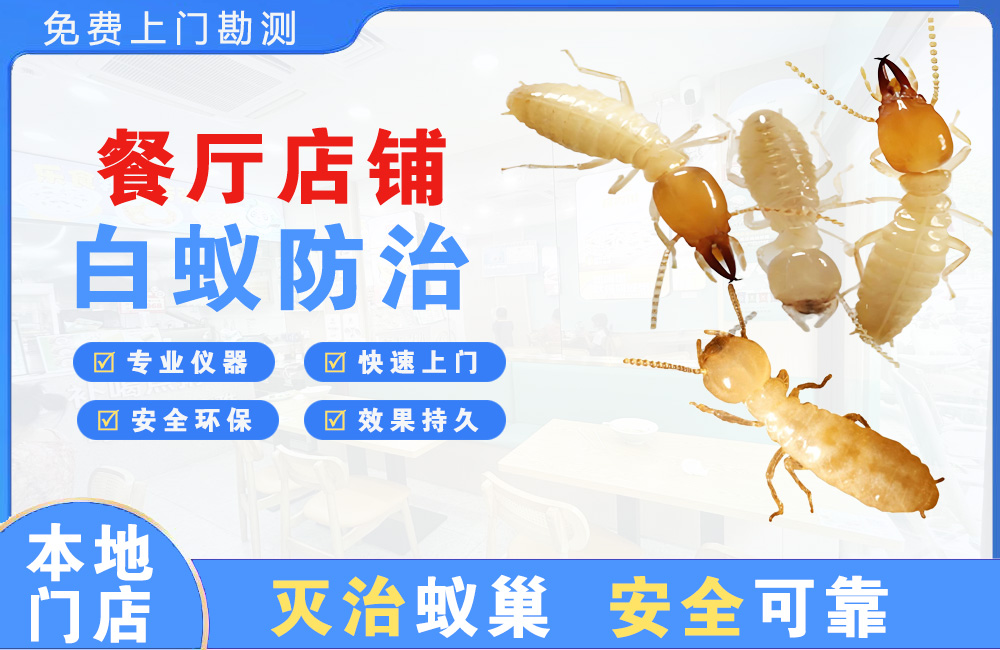 龙海餐厅店铺白蚁防治